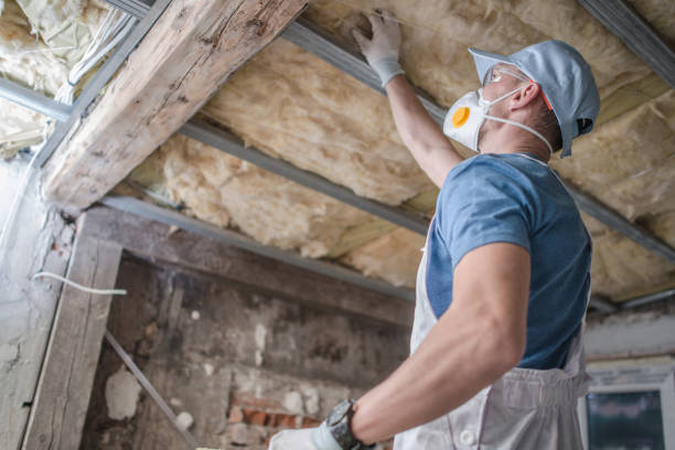 Best Specialized Insulation Services in Liverpool, NY